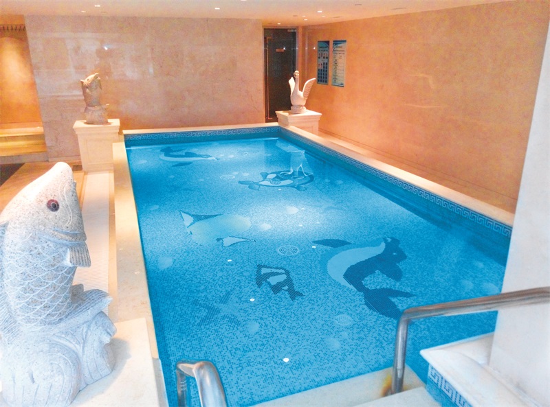 低氯水處理系統,水處理系統,低氯泳池水處理